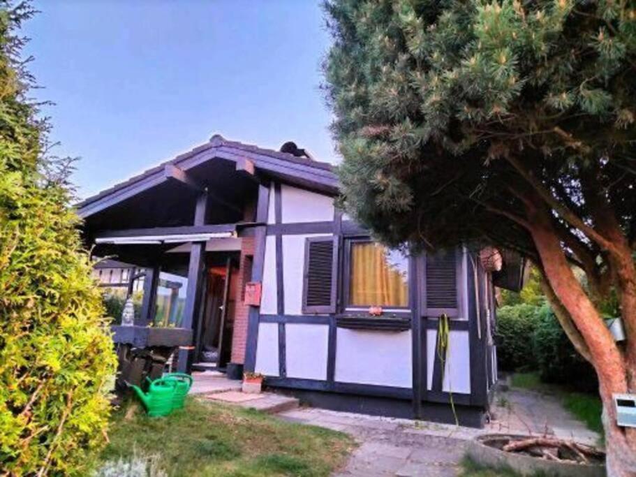 Ferienhaus Am Listersee 迈内尔茨哈根 外观 照片